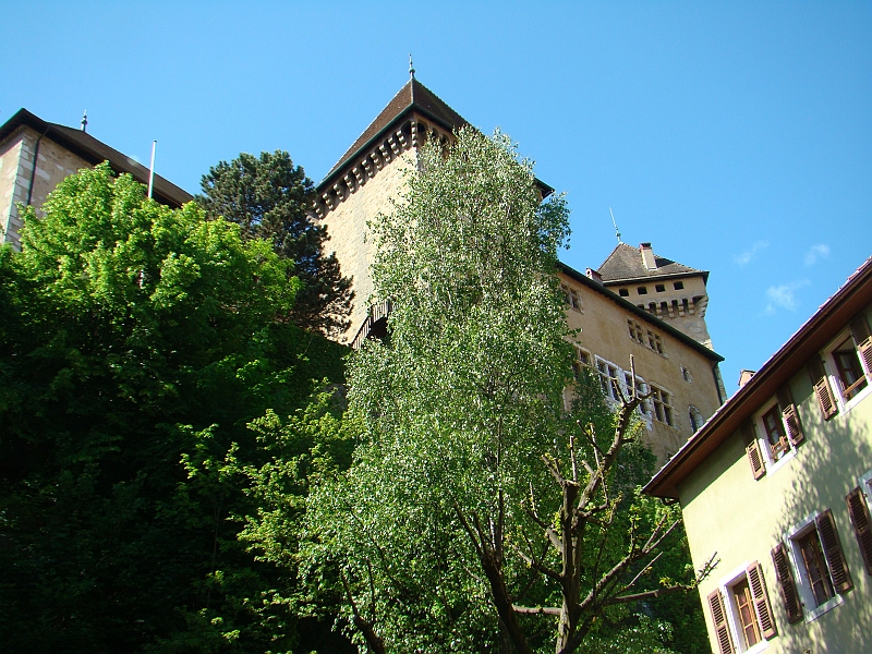 DSC07741