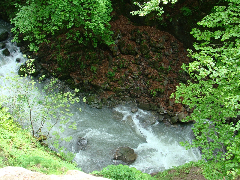 DSC07848