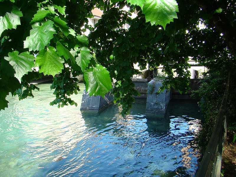 DSC07991