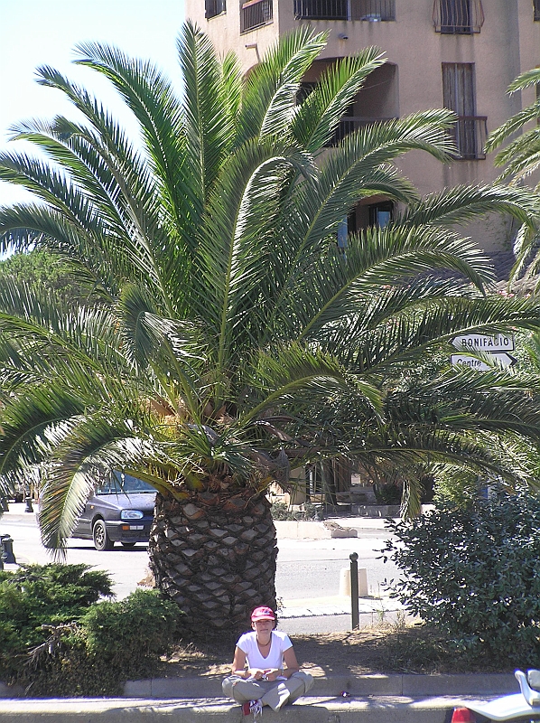 Original image
