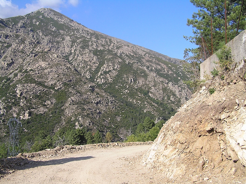 Original image