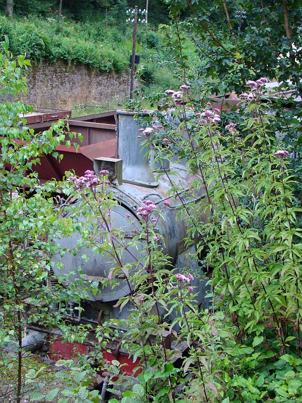 Original image
