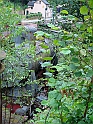 DSC00411