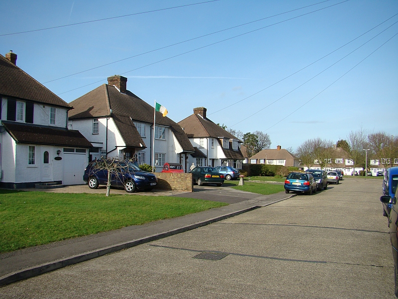DSC02809