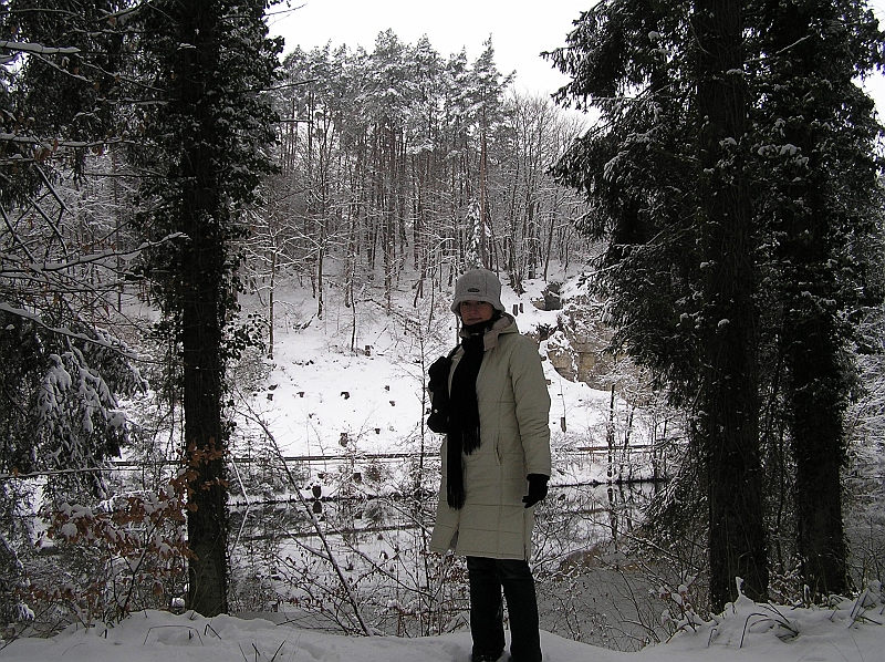 Original image