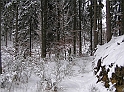 P3040054