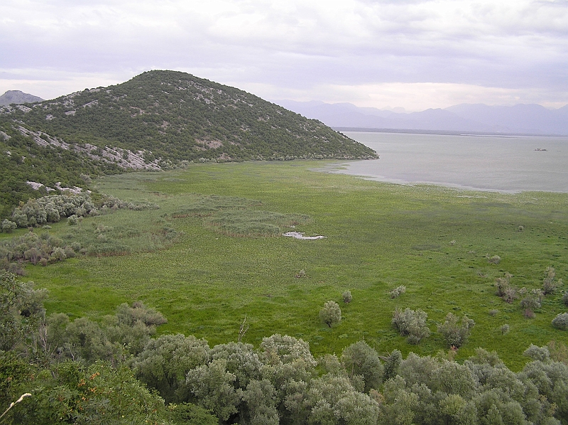 Original image