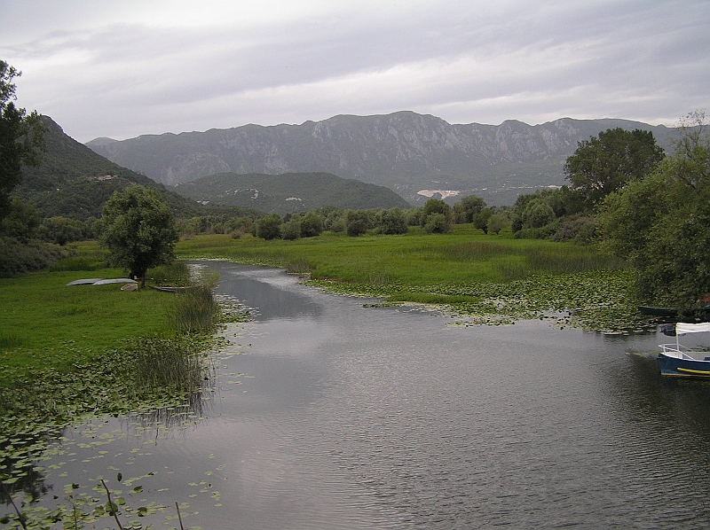 Original image