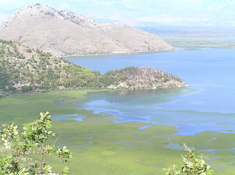 Original image
