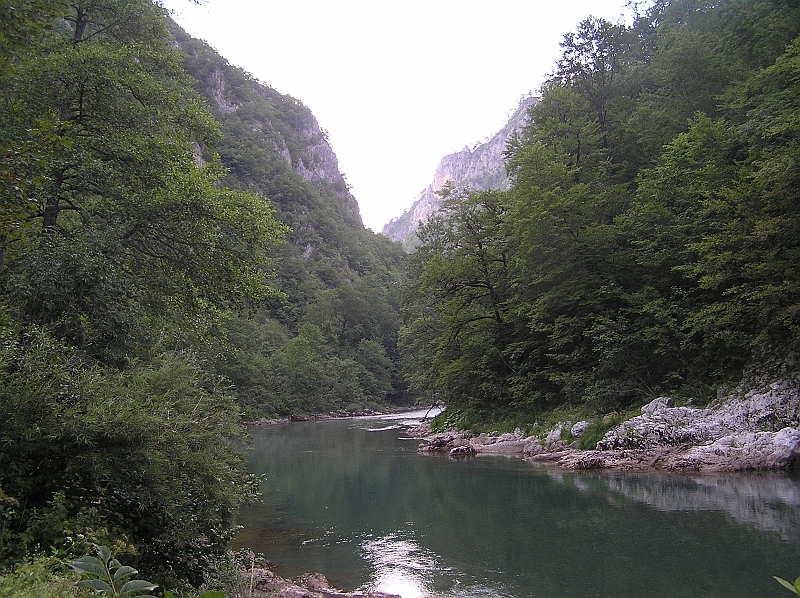 Original image