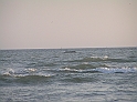 P9040116