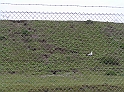 P4160077
