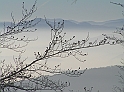 P1160122