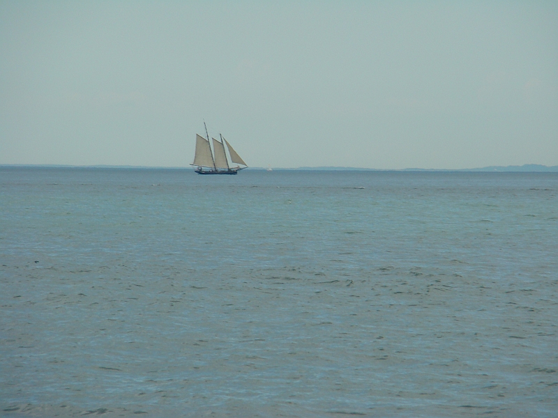 DSC04531