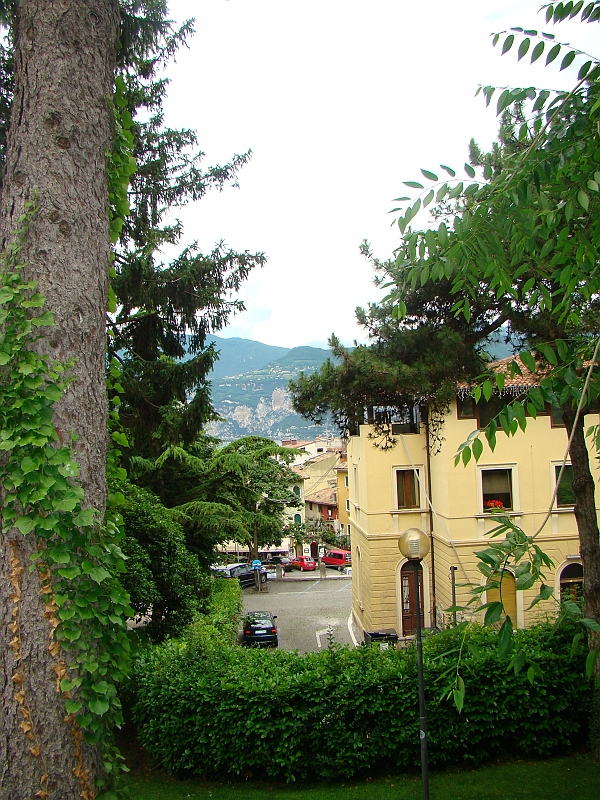 DSC04546