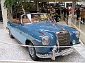 P4090060