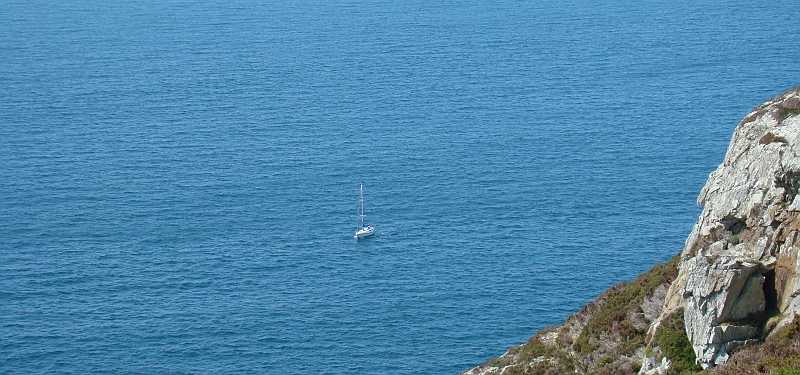 DSC05975