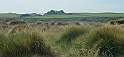 DSC05800