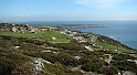 DSC05976