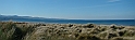 DSC05993