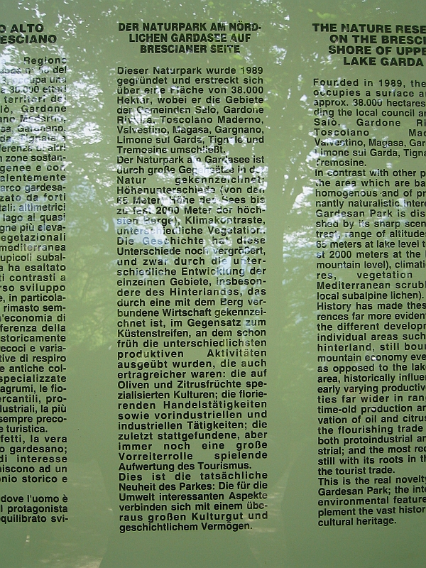 Original image