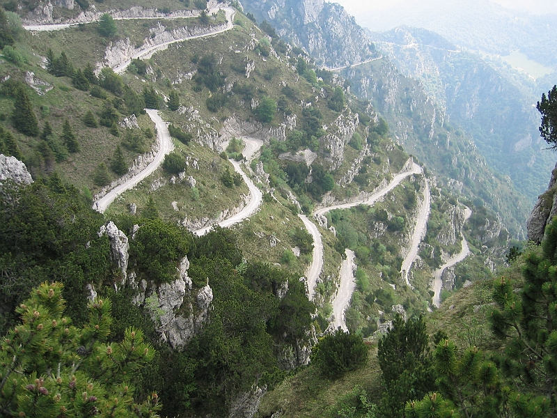 Original image