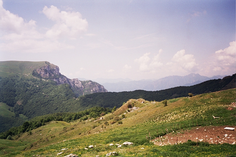 Original image