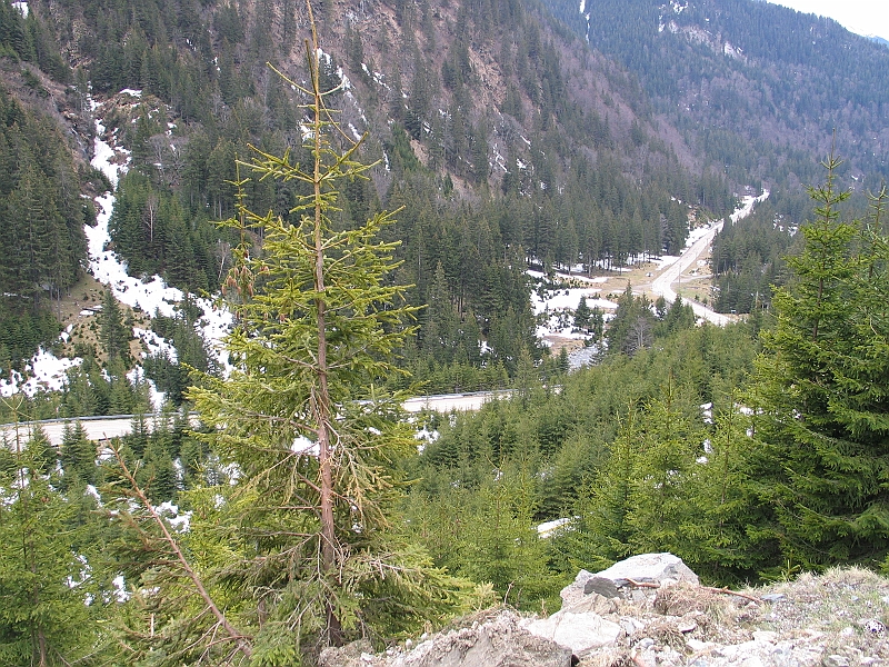 Original image