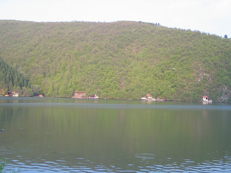 Original image