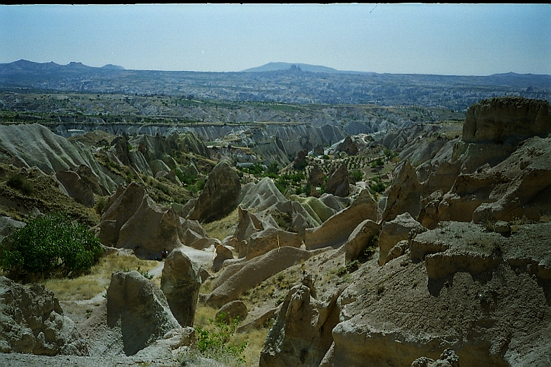C0061