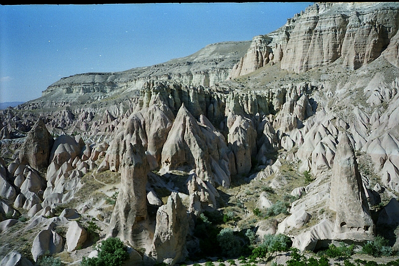 C0081