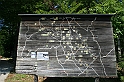 IMG_6463