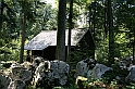 IMG_6477