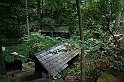 IMG_6496