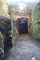IMG_6619