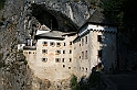 IMG_6557