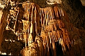 IMG_6756