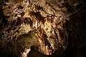 IMG_6764