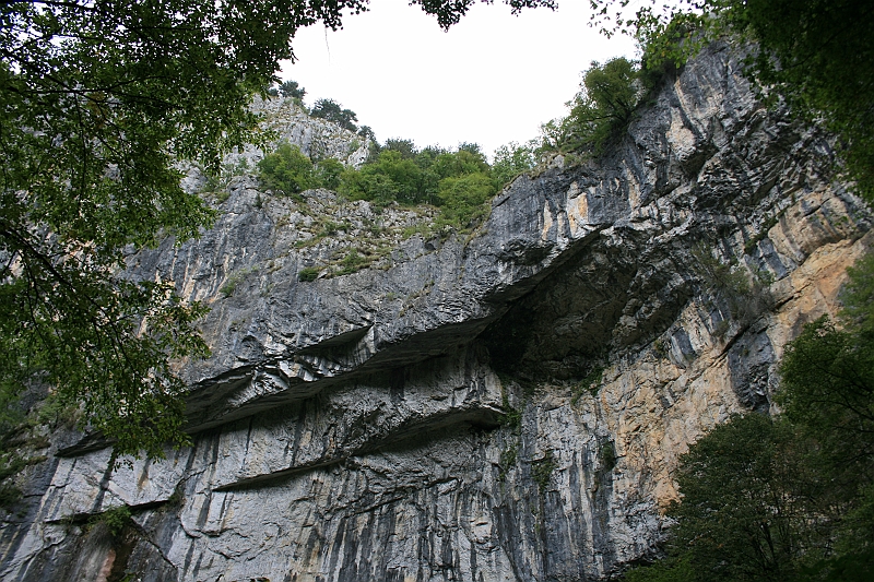 IMG_6971