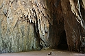 IMG_6953