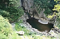 IMG_6956