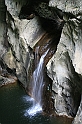 IMG_6969