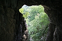 IMG_6977
