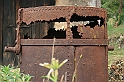IMG_6986