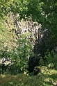 IMG_7001