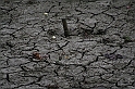 IMG_7037