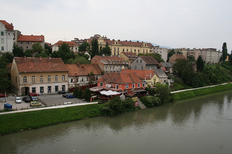 IMG_5878