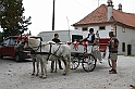 IMG_5940