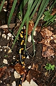 IMG_7050