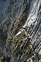 IMG_7346